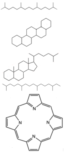 Structures of prime examples of biomarkers (petroleum), from top to bottom: Pristane, Triterpane, Sterane, Phytane and Porphyrin