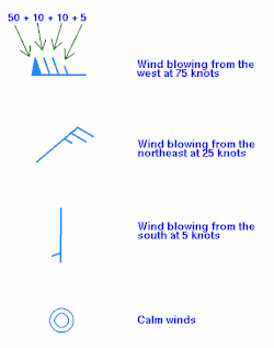 Wind plotting within a station model