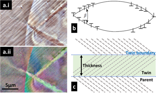 (a) forescatter electron diode (FSD) image for deformation twins at grain boundary in age-hardened ferrite at I) 18 mm working distance and II) 38 mm working distance. (b) Schematic of a lenticular twin with interface dislocations and (c) Twin band.[46]