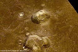 'Face on Mars' in Cydonia region, 2006