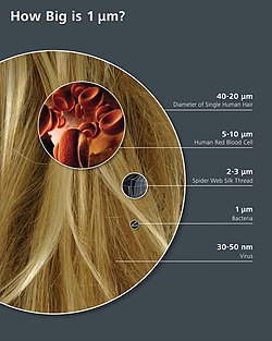How big is 1 micrometre?