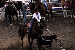 Modern rodeo cowgirl