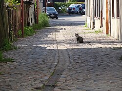 A cobblestone lane in the Old Town (Senamiestis) in Kaunas