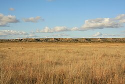 Southern plains of the Llano Estacado in the Texas Panhandle.
