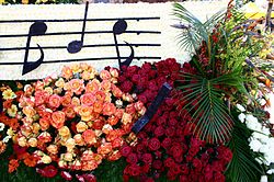 A close-up of roses used to create a parade float
