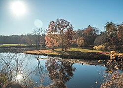 Paradise Pond with portion of athletic fields visible (center left)