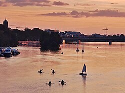 Kayaking, sailing and rowing near the Neckarinsel at sunset