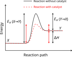Generic potential energy diagram showing the effect of a catalyst in a hypothetical endothermic chemical reaction. The presence of the catalyst opens a new reaction pathway (shown in red) with a lower activation energy. The final result and the overall thermodynamics are the same.