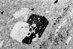 Photomicrograph of a porphyritic-aphanitic felsic rock, from the Middle Eocene in the Blue Ridge Mountains of Virginia. Plagioclase phenocrysts (white) and hornblende phenocryst (dark; intergrown with plagioclase) are set in a fine matrix of plagioclase laths that show flow structure.
