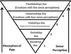 The food choices of Jains are based on the value of Ahimsa (non-violence).
