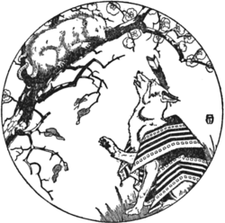 Coyote and Opossum appear in the stories of several tribes.