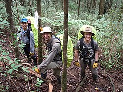 BSAR searchers at Mount Dom Dom.