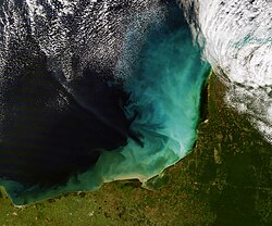 The swirls of tan, green, blue, and white are sediment in the shallow waters of the Gulf of Mexico off the Yucatan Peninsula. The blue-green cloud in this image roughly matches the extent of the shallow continental shelf west of the peninsula. This is a perfect example of a shallow marine depositional environment.