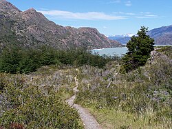 Hiking trail in Torres del Paine