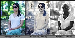 Reflected light photograph in various infrared spectra to illustrate the appearance as the wavelength of light changes