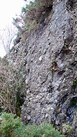 Intrusion breccia dyke at Goladoo, Co. Donegal, Ireland
