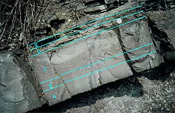 Complete Bouma sequence in Devonian Sandstone (Becke-Oese Quarry, Germany)