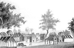 View of a Seminole village shows the log cabins they lived in prior to the disruptions of the Second Seminole War