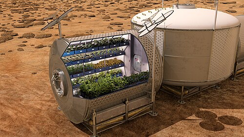 Depiction of plants growing in a Mars base. NASA plans to grow plants for space food.[65]