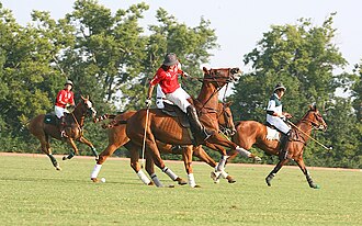 A polo match at the Kentucky Horse Park