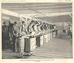 The interior of the Fish-Packing Establishment in Sandusky in 1887