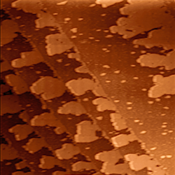 One-atom-thick islands of silver deposited on the surface of palladium by thermal evaporation. Calibration of the surface coverage was achieved by tracking the time needed to complete a full monolayer using tunneling microscopy (STM) and from the emergence of quantum-well states characteristic of the silver film thickness in photoemission spectroscopy (ARPES). Image size is 250 nm by 250 nm.[9]