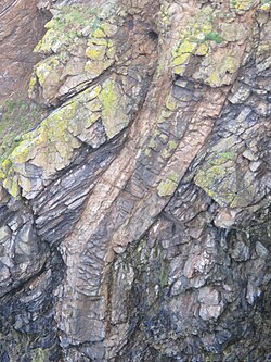 A composite dike in Orkney, Scotland, with bostonite margins and a camptonite center