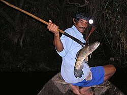 Night spear fishing, Amazon basin, Peru