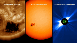 Suspected sources of solar wind: coronal holes, active regions, and coronal streamers