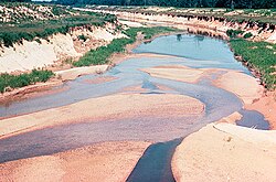 Siltation