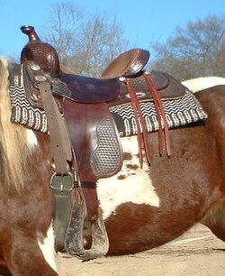 A western saddle