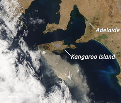 NASA satellite imagery on 3 January 2020 showing bushfires on Kangaroo Island.
