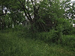 Derelict farmhouse surrounded by overgrown vegetation