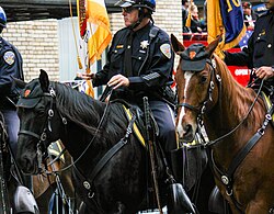SFPD mounted police officers