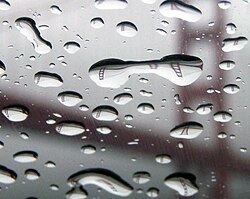 An image of the Golden Gate Bridge is refracted and bent by many differing three-dimensional drops of water.