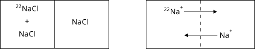 Self diffusion, exemplified with an isotopic tracer of radioactive isotope 22Na