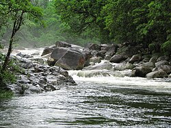 The Mossman River, flowing through the Daintree Rainforest in Far North Queensland
