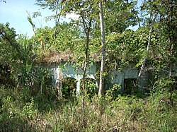 The overgrown ruins of the original El Palmar, now known as El Viejo Palmar (Old Palmar).