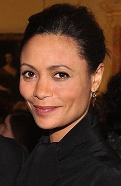 Newton in 2010