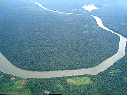 Aerial view of the Amazon rainforest