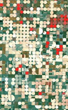 A false-color image of irrigated fields near Garden City, Kansas, taken by the Landsat 7 satellite