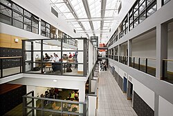 UCD Quinn School of Business