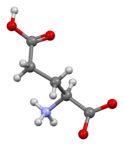Many biomolecules, such as L-glutamic acid, are asymmetric, and occur in living systems in only one of the two possible forms, in the case of amino acids the left-handed form. Prebiotic chemistry would produce both forms, creating a puzzle for abiogenesis researchers.[275]