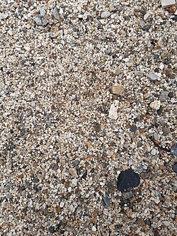 Naturally occurring sedimentary gravel bed