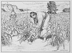 The American Indian Fig 7. Hidatsa women tilling the soil. Nine varieties of corn were grown. "Soft white" could be used in any kind of corn food. "Soft yellow" was easy to pound and turn into meal. Each variety had a distinct taste. Besides corn, the women had beans, sunflowers and squash in their well cared for gardens.