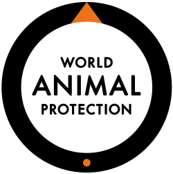 World Animal Protection was founded in 1981 to protect animals around the globe.