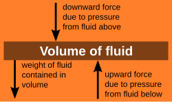 If the highlighted volume of fluid is not accelerating, the forces on it upwards must equal the forces downwards.