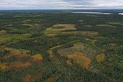 A peat plateau complex south of Fort Simpson, Northwest Territories.
