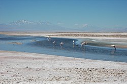 Salar de Atacama with the volcanoes Pular (L), Cerro Pajonales (center left) and Socompa (R) in the distance. The 1899 border runs through Socompa.
