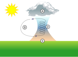 Example of a thermal column between the ground and a cumulus